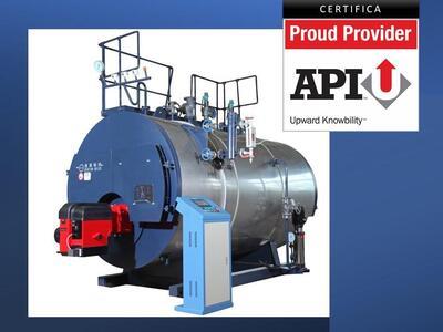 Válvulas de Seguridad - API STD520 / API STD521 / API RP576